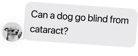 msg