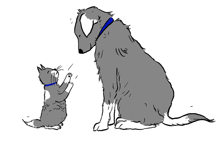 dog with human