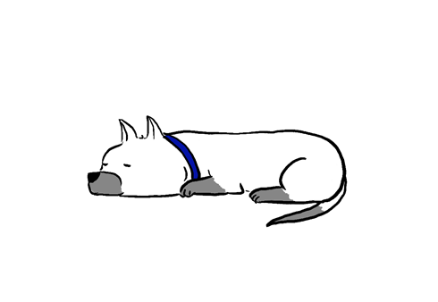 Puppy Icon