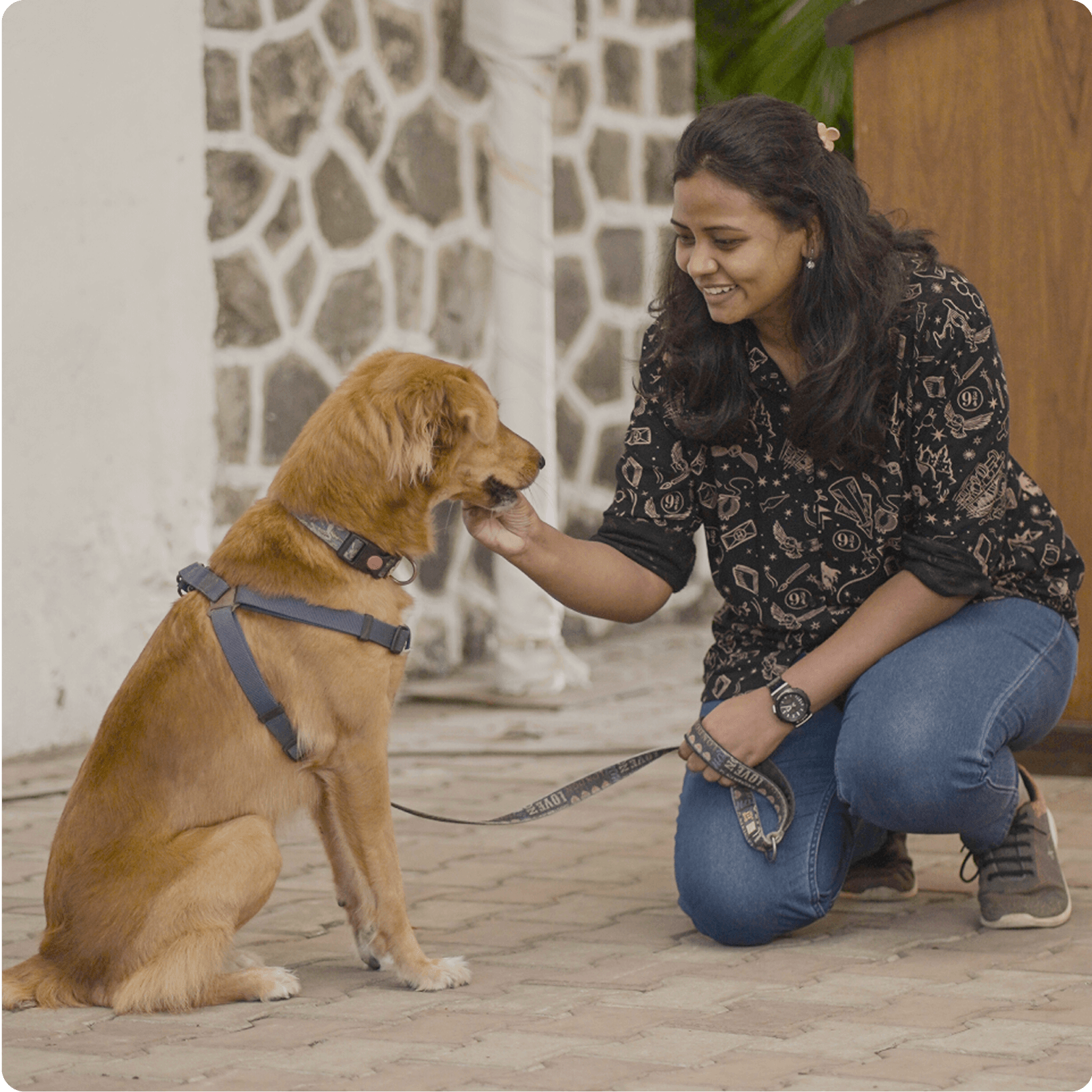 FurrCrew Dog Walker Course: Raising the Standard of Pet Care
