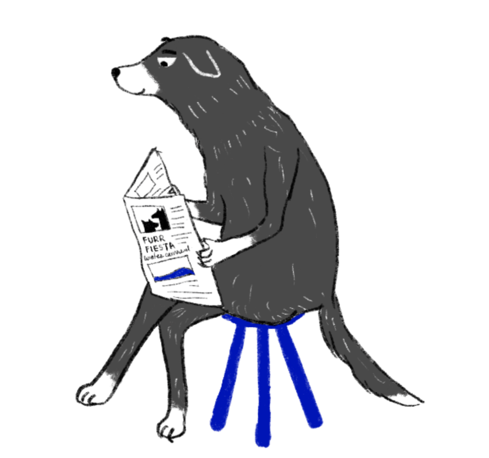 Cat reading a newspaper