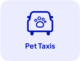 Pet taxi
